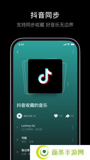 汽水音乐精简版