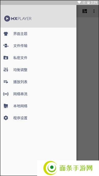 mx播放器专业版
