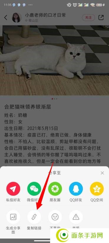 小红书图片怎么去水印