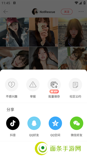 堆糖app