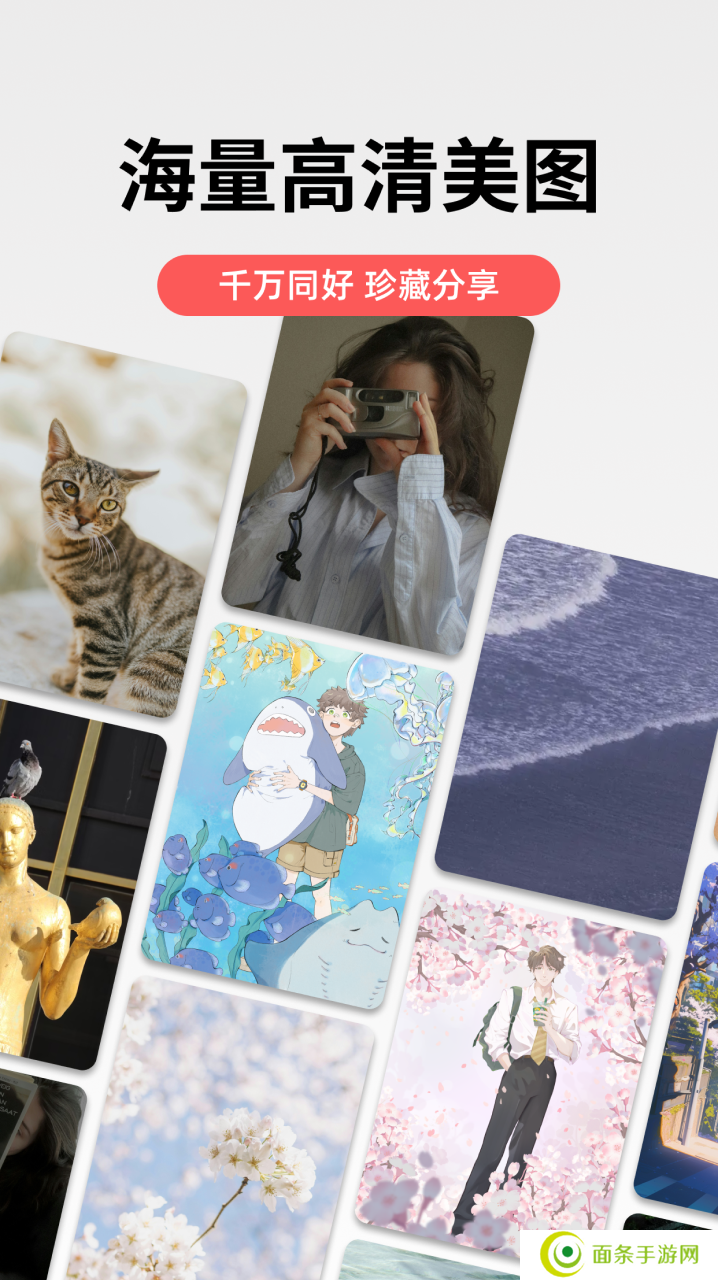 堆糖app